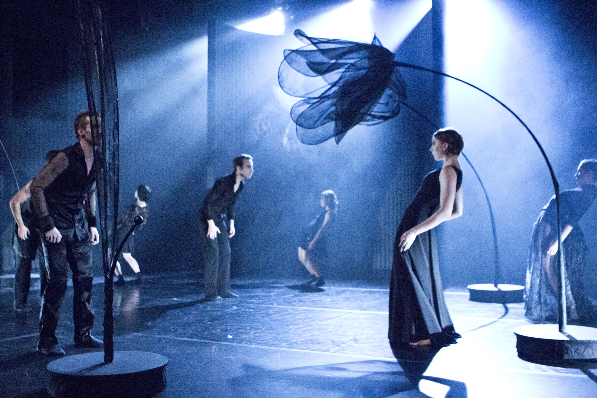 „Der schwarze Garten“ von Hans Henning Paar