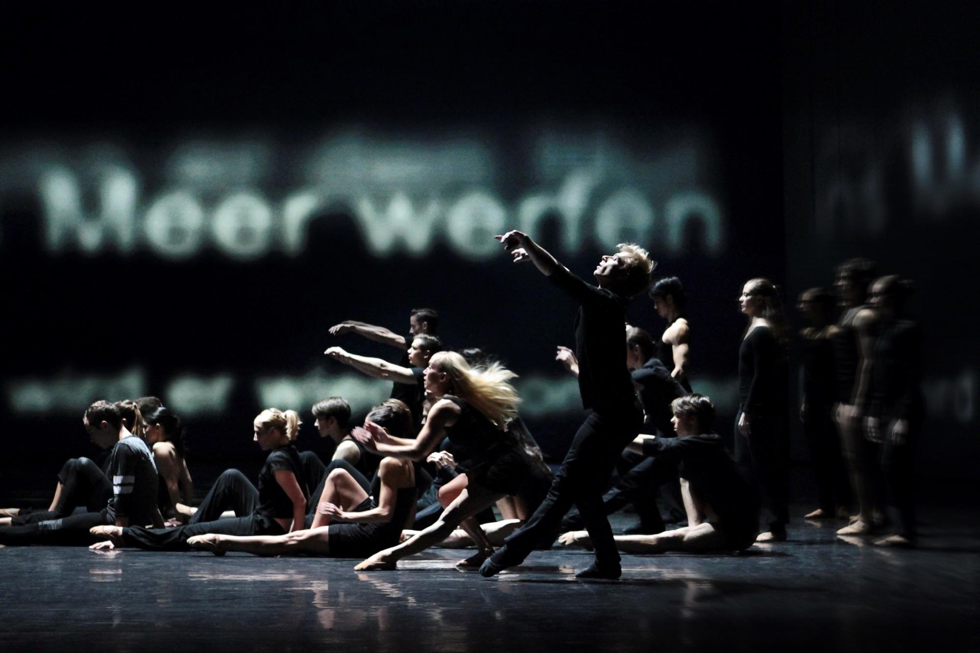 „PAX 2013“ -  „Blühende Landschaft“ von Mario Schröder