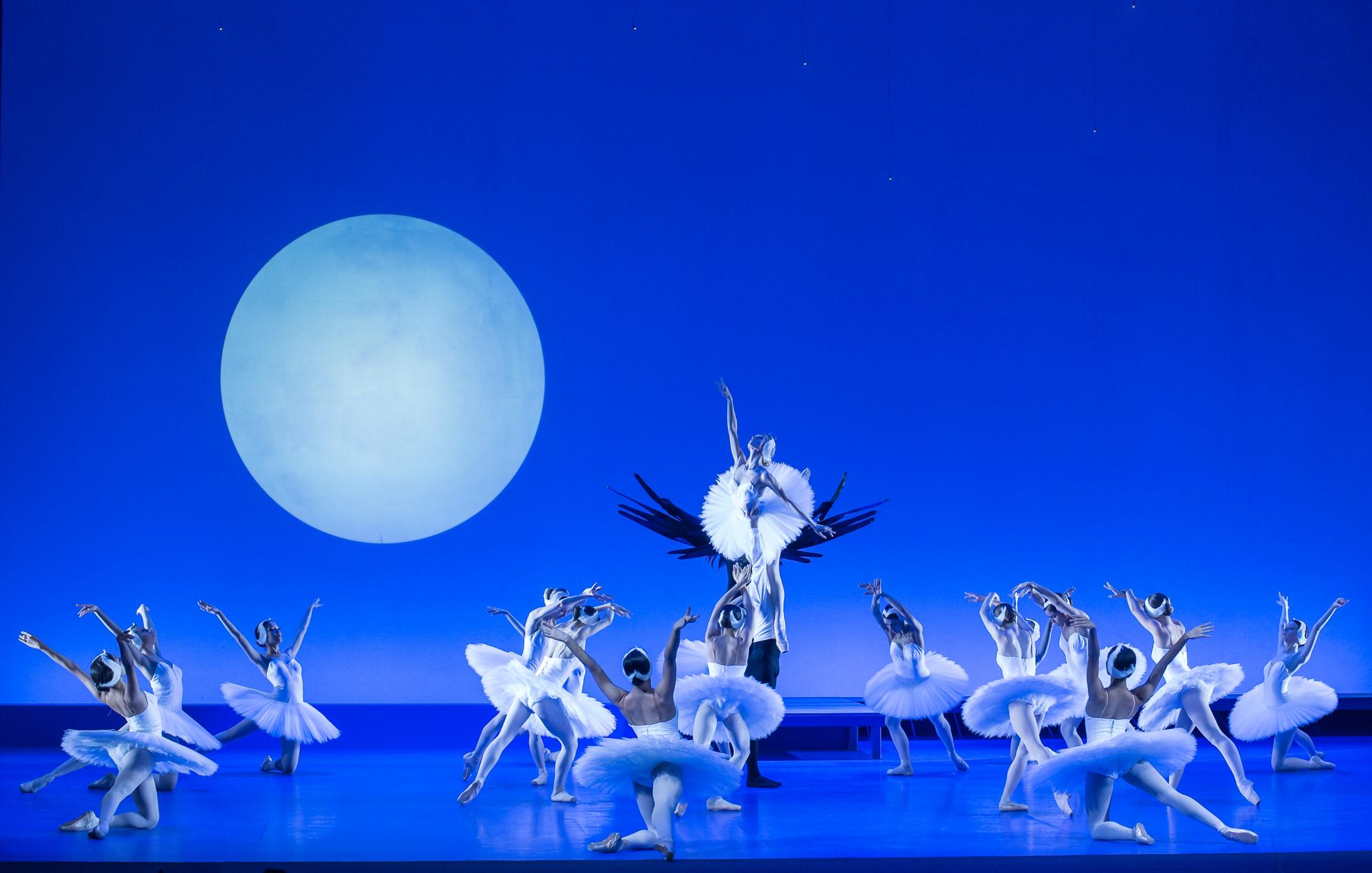 „Schwanensee“ von Peter Breuer