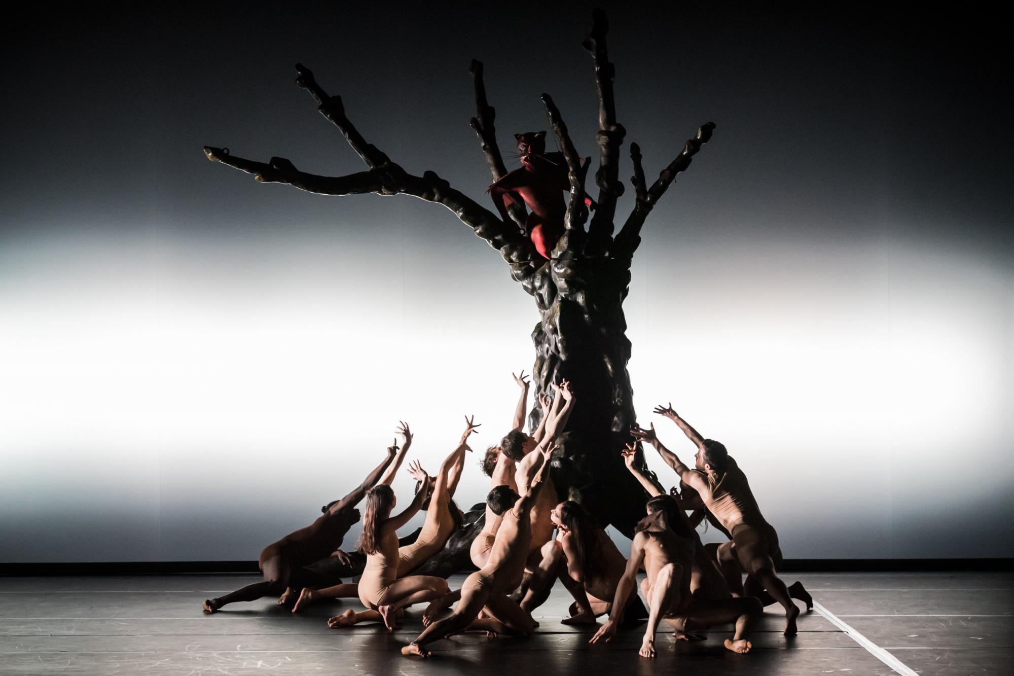 „Hieronymus B.“ von Nanine Linning am Theater Heidelberg