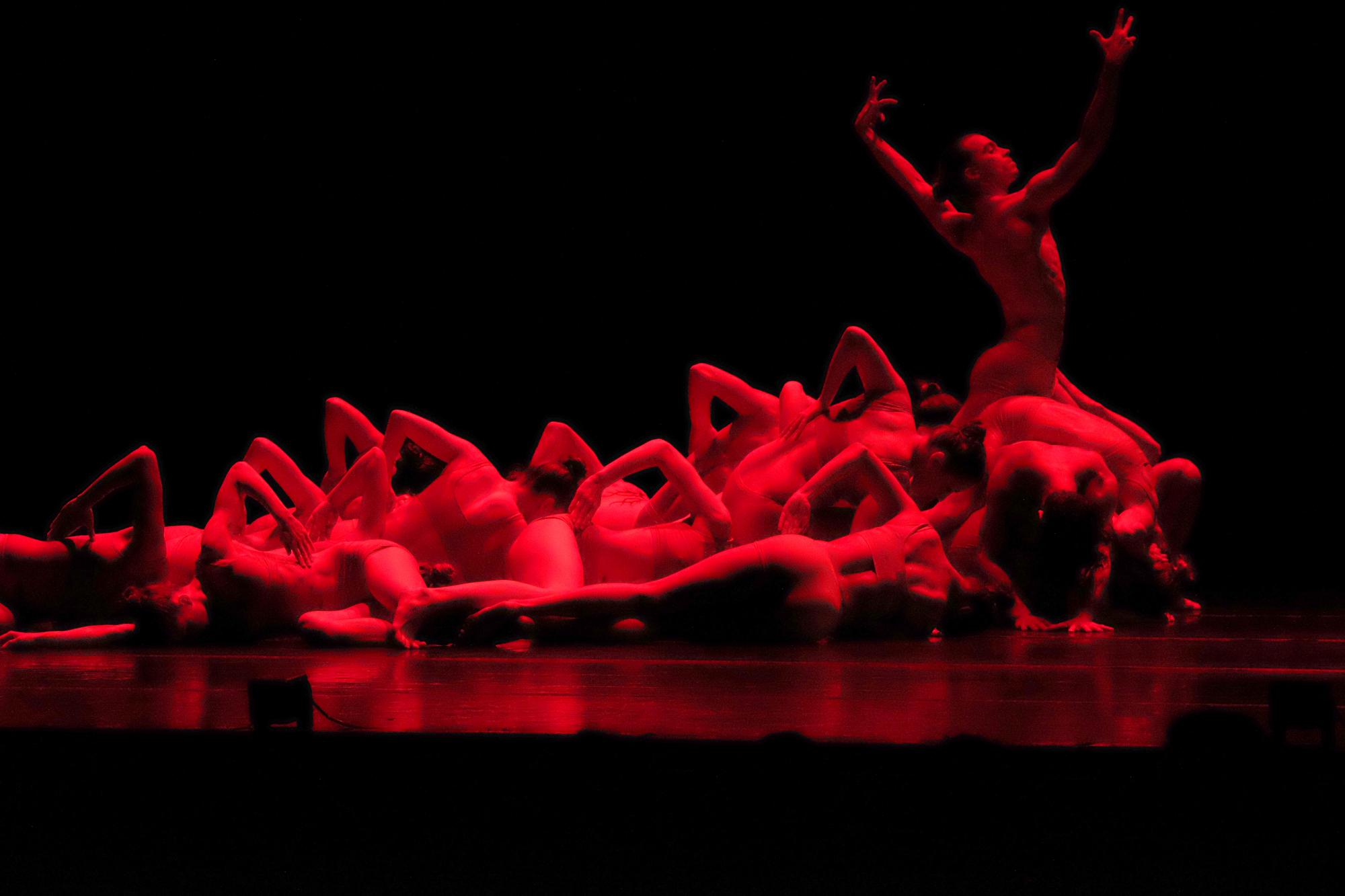 Gala des Festivals „Licensed to Dance“