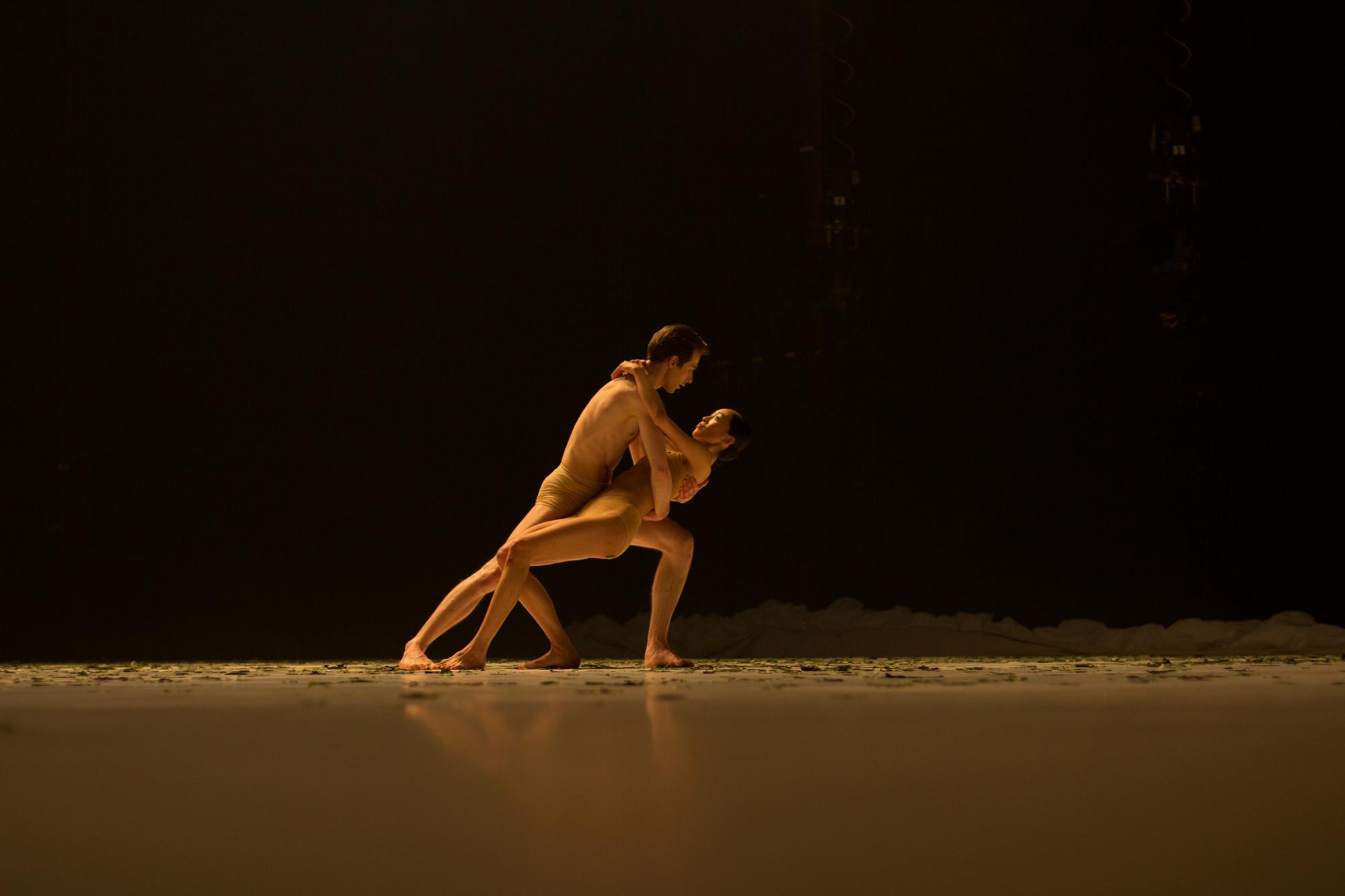 „COW“ von Alexander Ekman. Tanz: Christian Bauch und Sangeun Lee