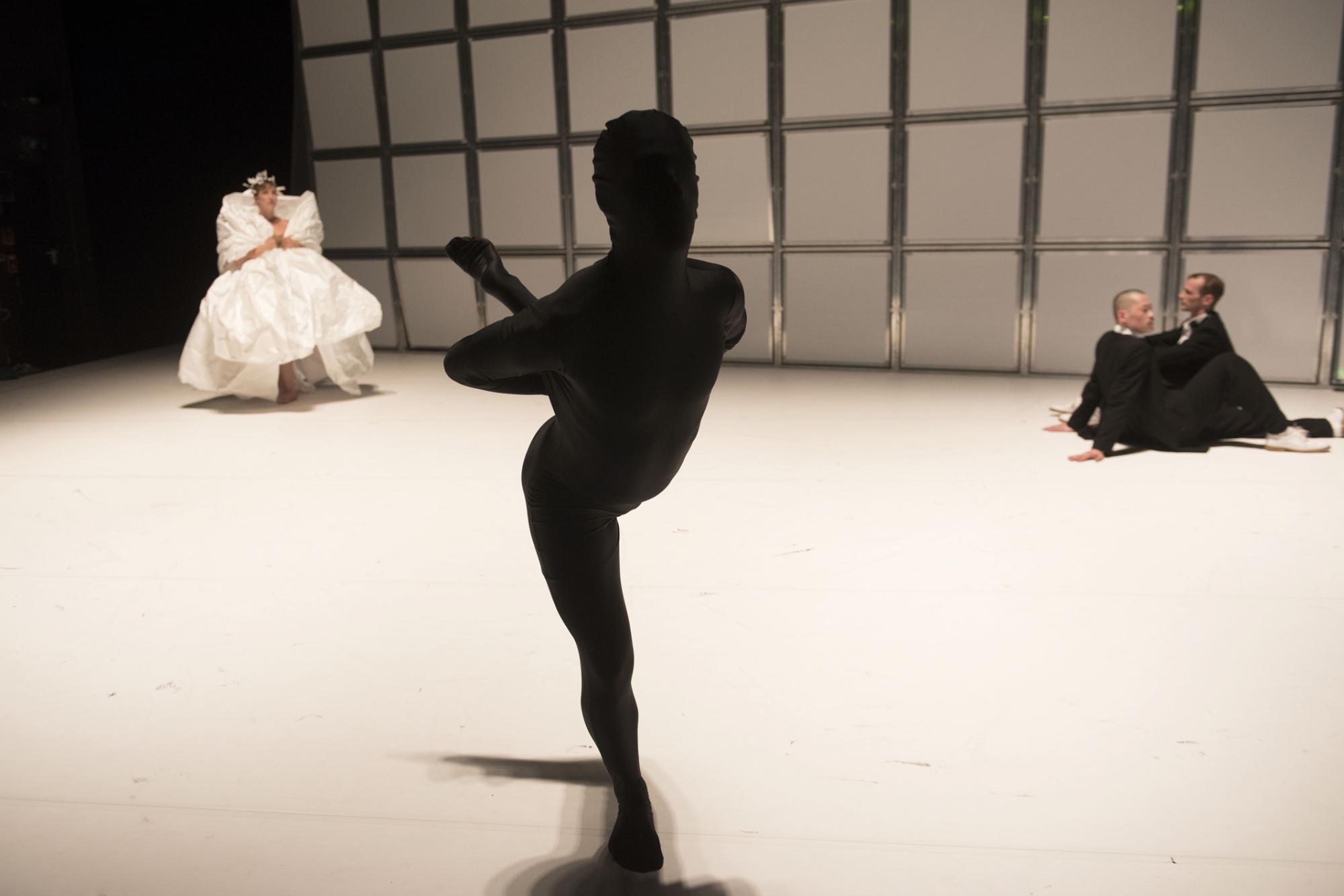 „Zwei Giraffen tanzen Tango - Bremer Schritte“ von Helge Letonja