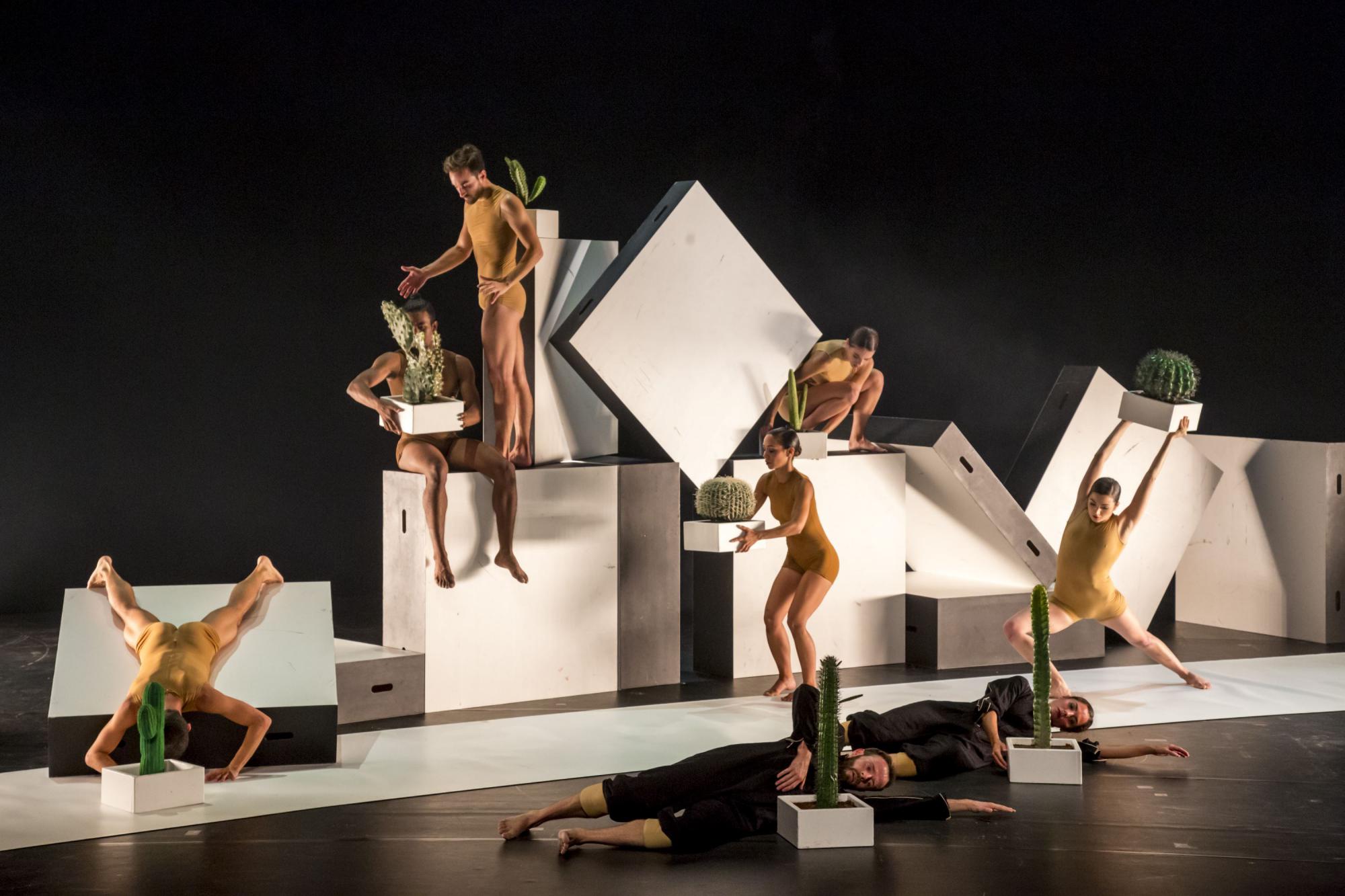 „Cacti“ von Alexander Ekman