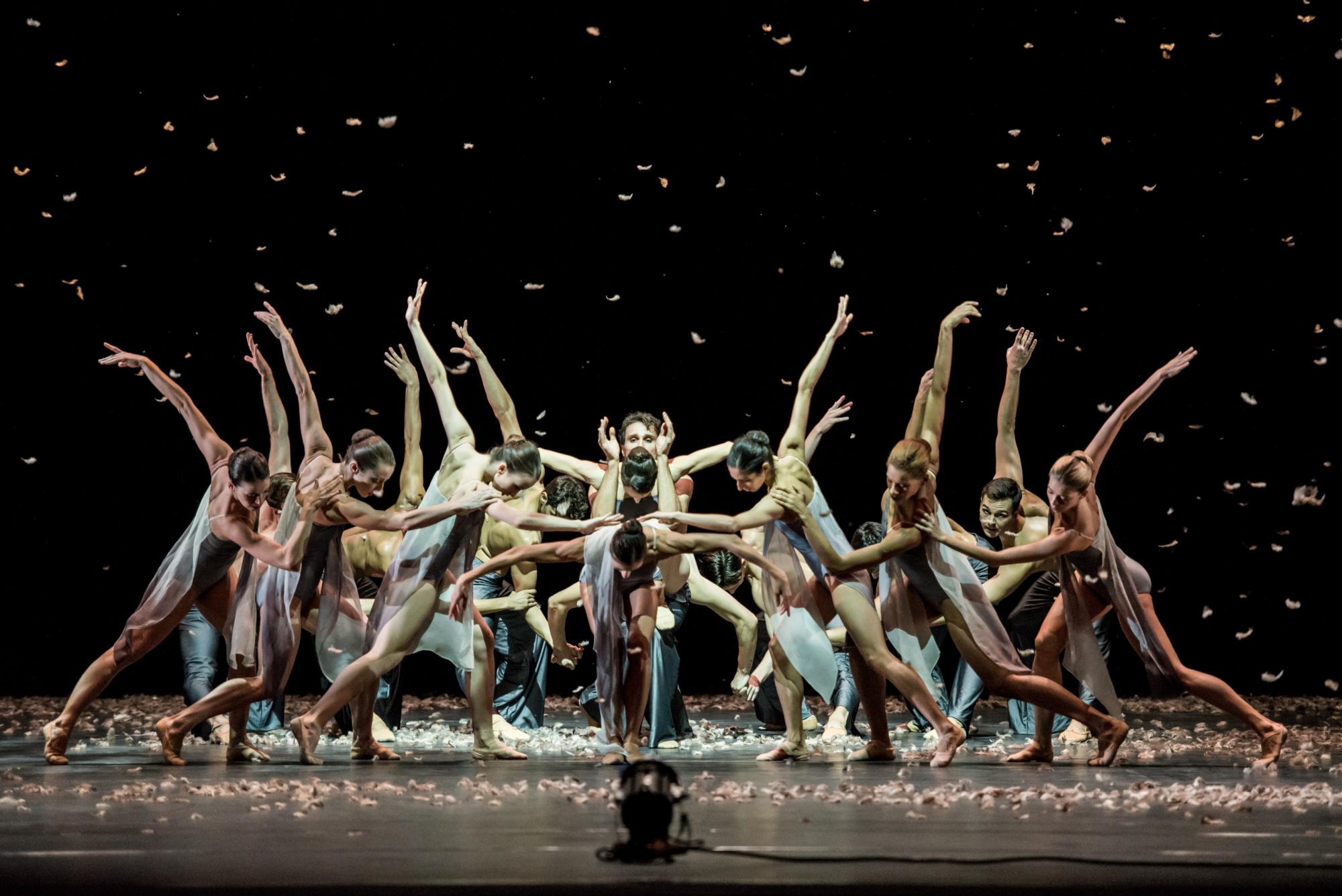 „Murmuration“ von Edwaard Liang. Tanz: Ensemble