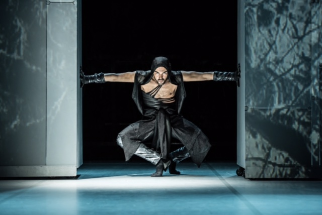 „Firebird“ von Tim Rushton