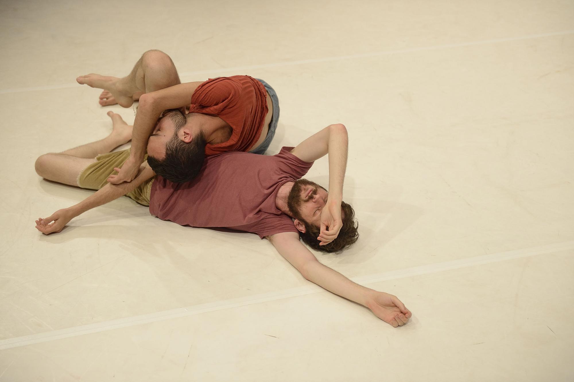 „Habitat“ von Uri Shafir und Zuki Ringart beim Festival MASH Dance in Berlin
