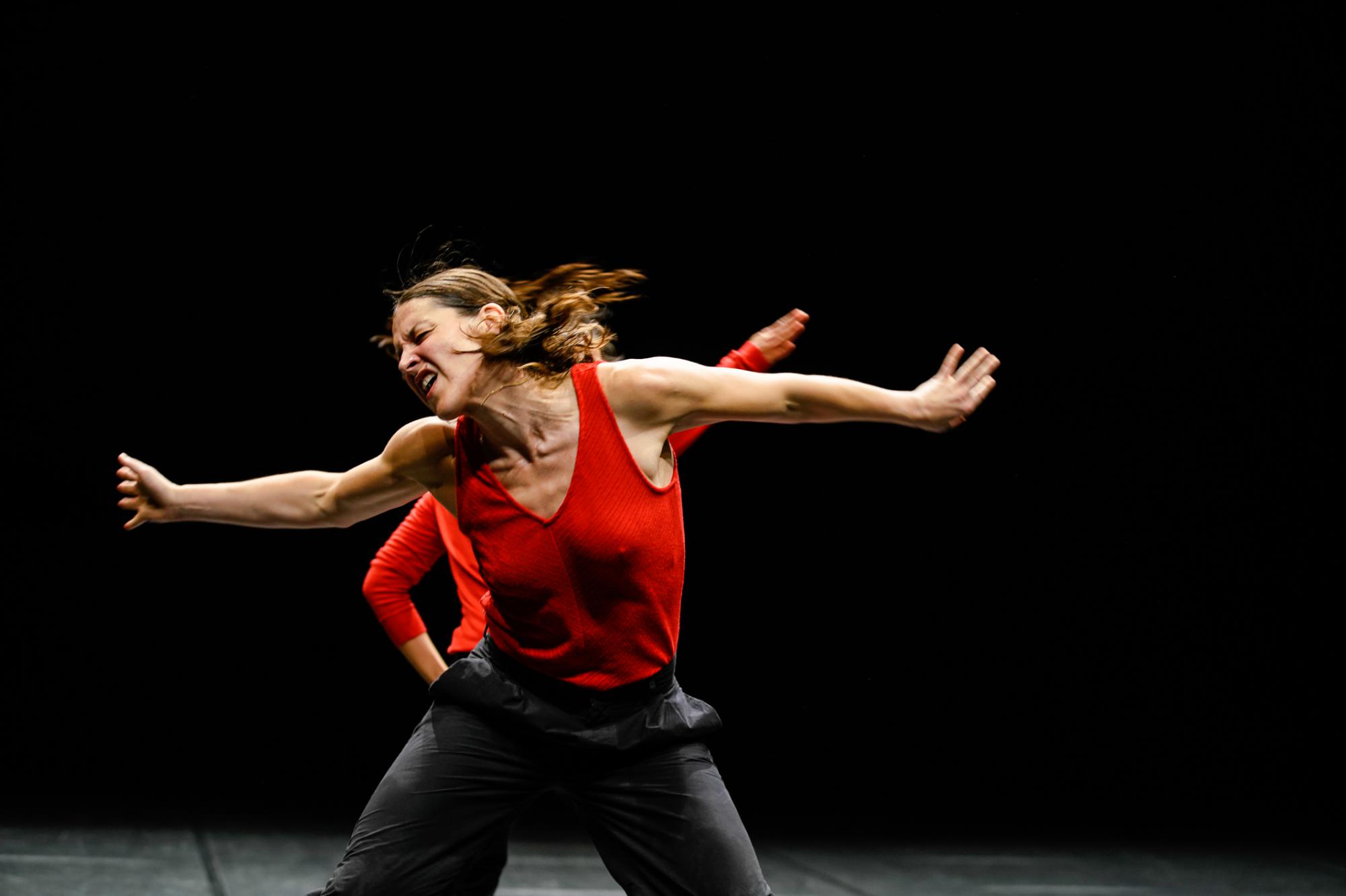 „Le sacre du printemps“ von Xavier Le Roy