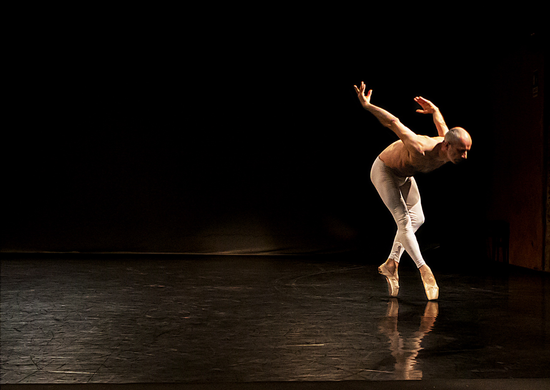 „Sterbender Schwan“ von Amancio Gonzalez