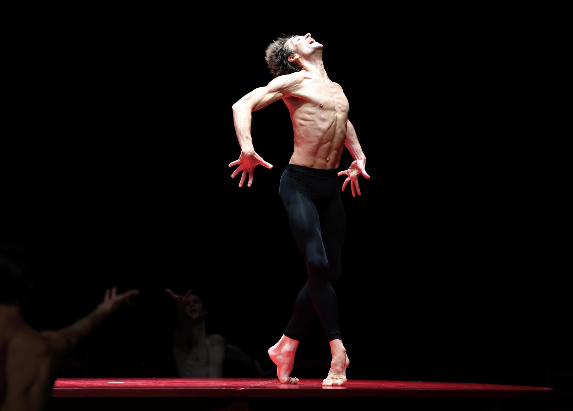 „Bolero“ von Maurice Béjart. Tanz: Friedemann Vogel