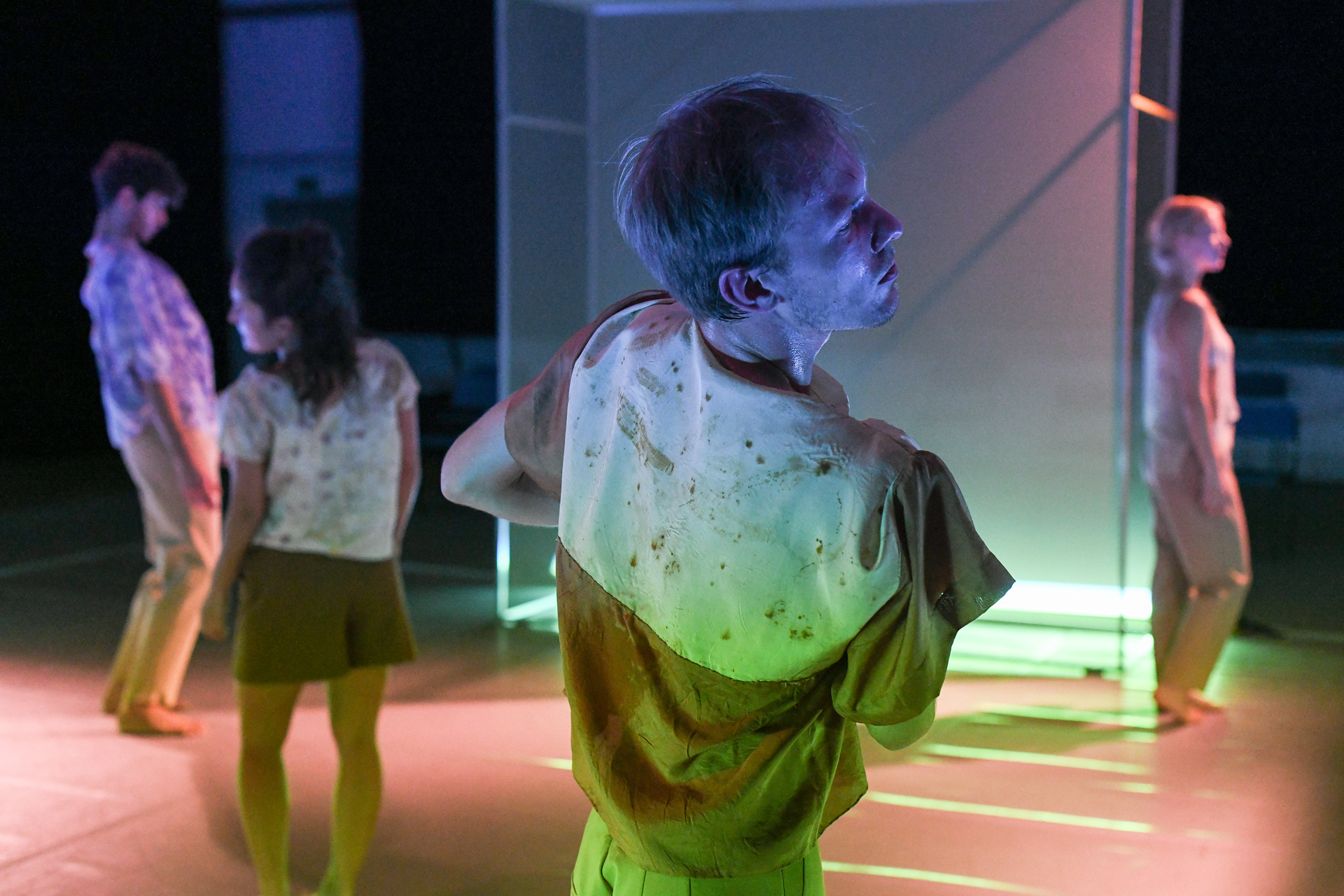 „Anthologie/Blütenlese“ von Cristina D'Alberto