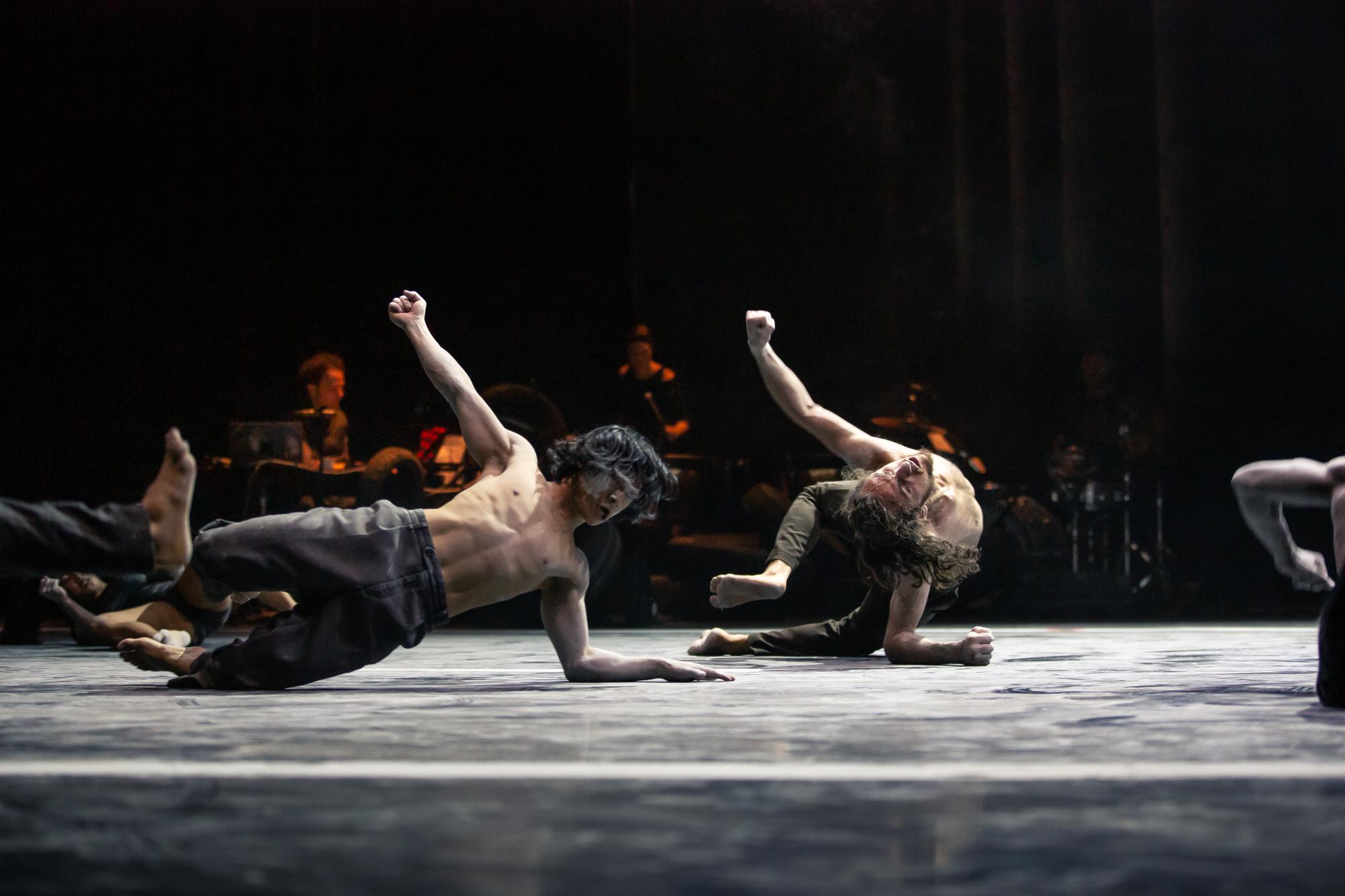 &quot;Traces&quot; von Wim Vandekeybus