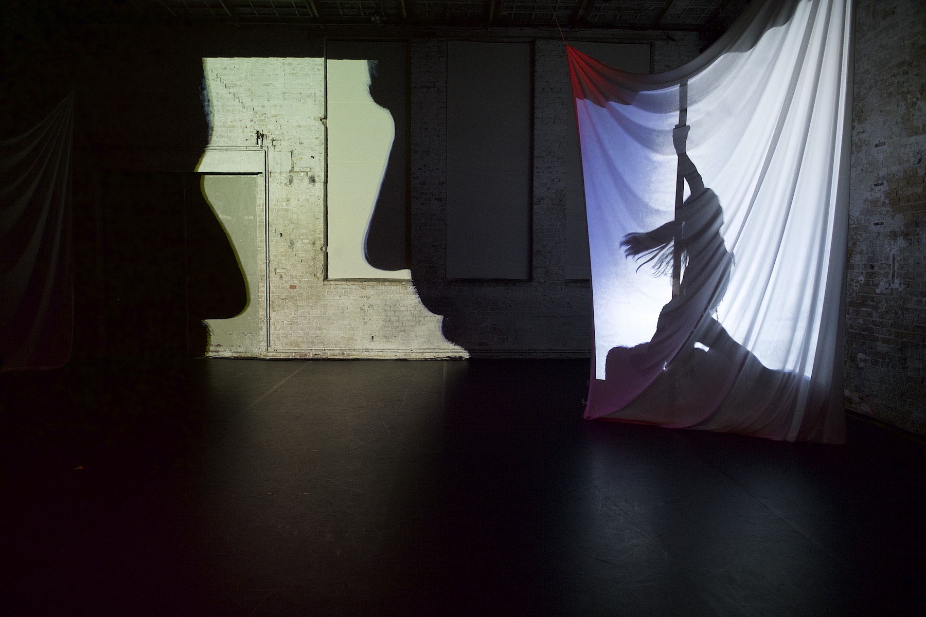 &quot;SWAN&quot; von Tomer Zirkilevich: Lou Thabart