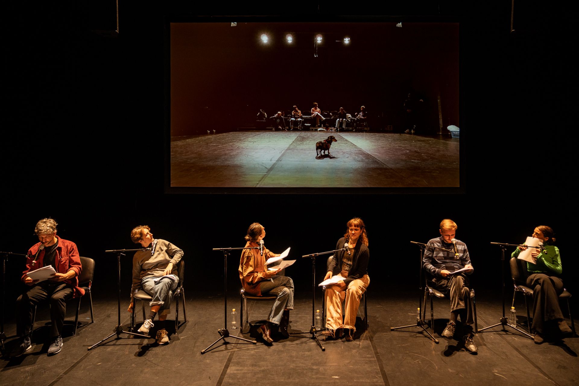 „Die Hundekot-Attacke“