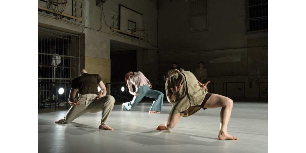 „ROSES – einsam. gemeinsam“ von Wies Merkx