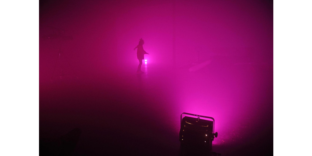 Miriam Horwitz &amp; Anne-Mareike Hess „Palais Idéal“