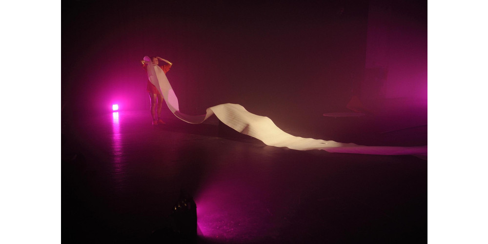 Miriam Horwitz &amp; Anne-Mareike Hess „Palais Idéal“