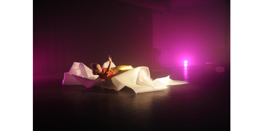 Miriam Horwitz &amp; Anne-Mareike Hess „Palais Idéal“