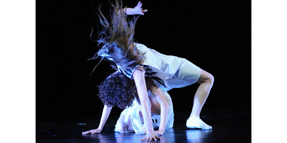 Gundula Peutherts „Schwanenseele“ am Ballett Cottbus