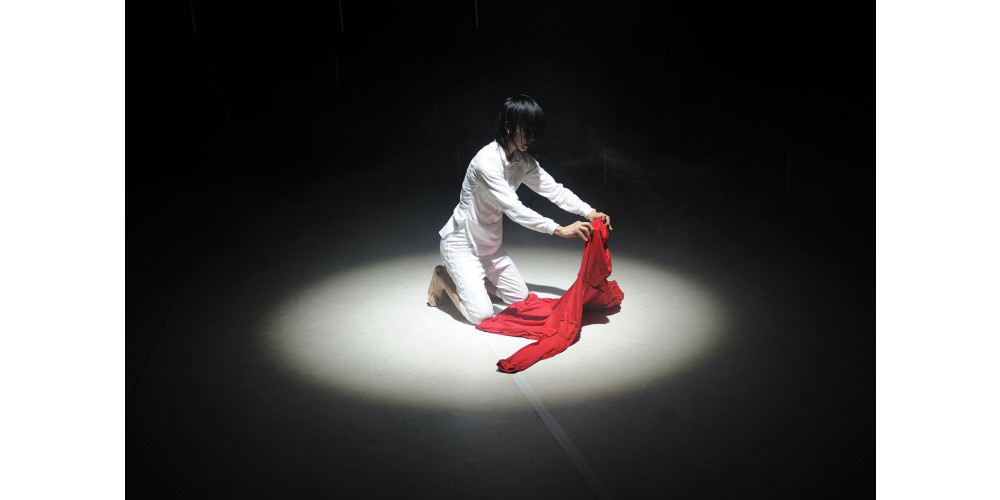 &quot;andropolaroid 1.1&quot; von und mit Yui Kawaguchi