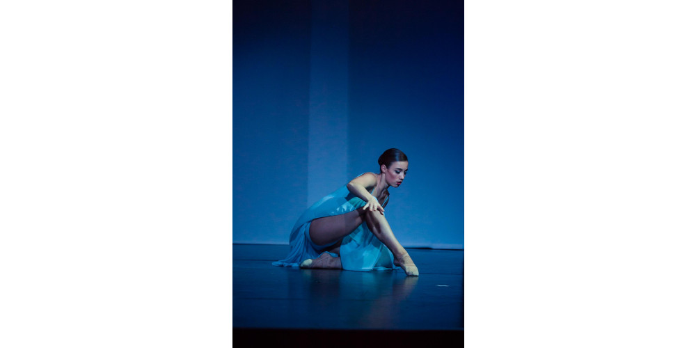 „Auf die Spitze getrieben. Eine Reise durch die Sprache des Tanzes“ von Kathrin Schülein