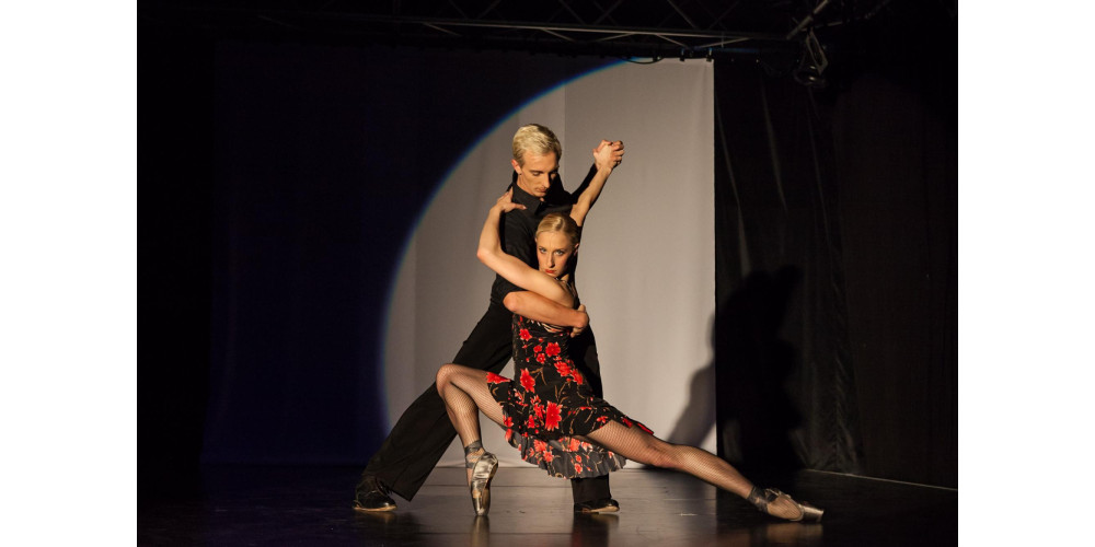 „Auf die Spitze getrieben. Eine Reise durch die Sprache des Tanzes“ von Kathrin Schülein