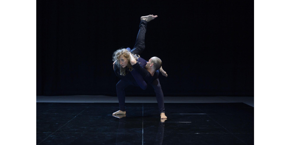 &gt;flirren&lt; von Jutta Hell und Dieter Baumann