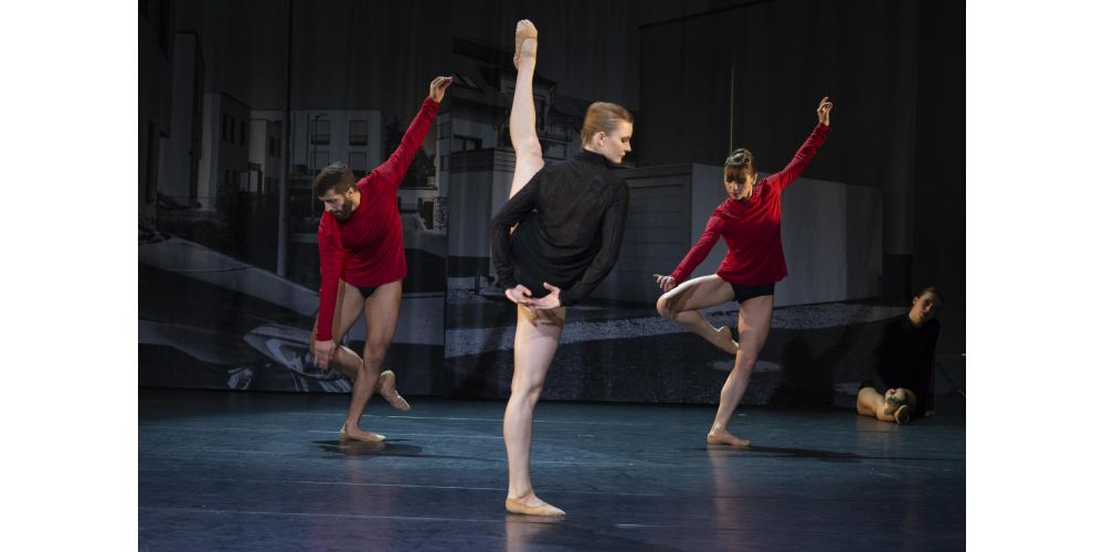 &quot;Verschwundenes Bild&quot; von Andris Plucis