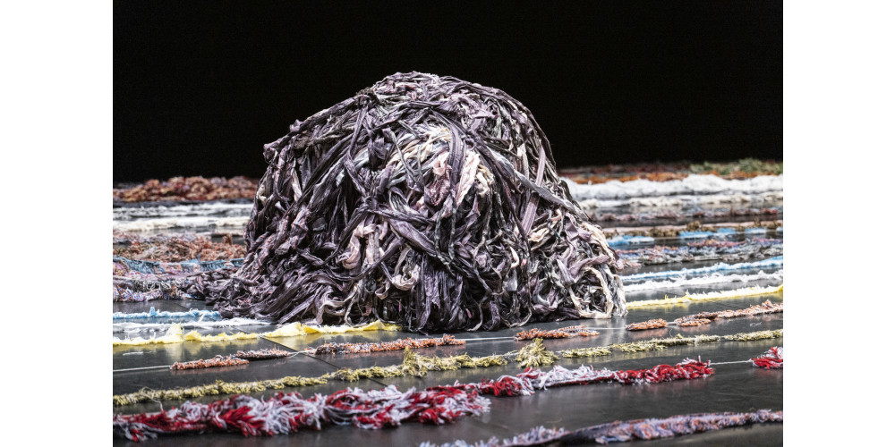 &quot;How to proceed&quot; von ZOO/Thomas Hauert