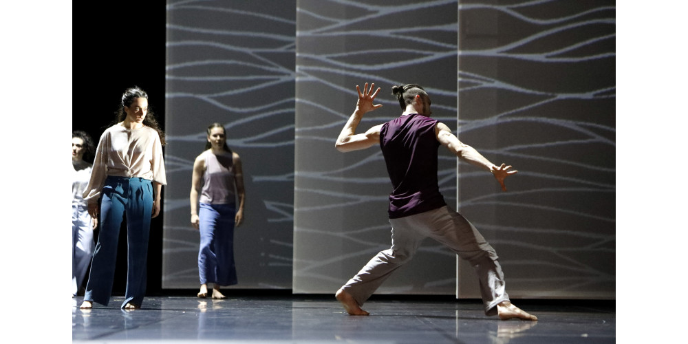 „Unruh I-IV“, Choreografie: Henrietta Horn