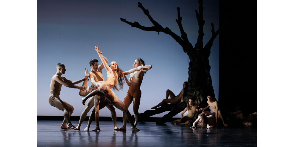 „Hieronymus B.“ von Nanine Linning, Tanz: Ensemble der Dance Company Osnabrück