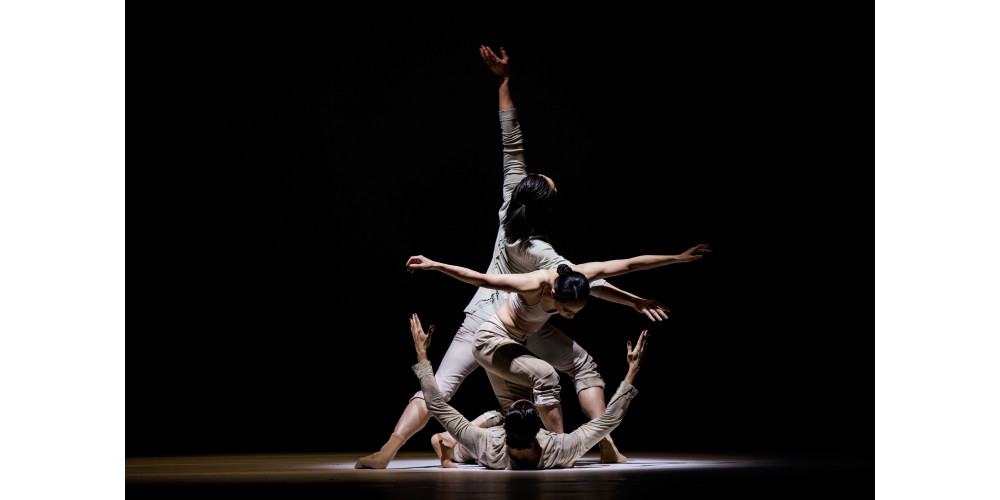 „Fall“ von Sidi Larbi Cherkaoui, Tanz: Ensemble TANZ LINZ