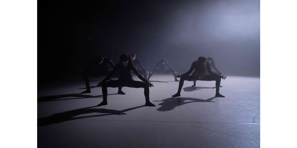 „Fulgence“ von Samir Calixto, Tanz: Ensemble Of Curious Nature