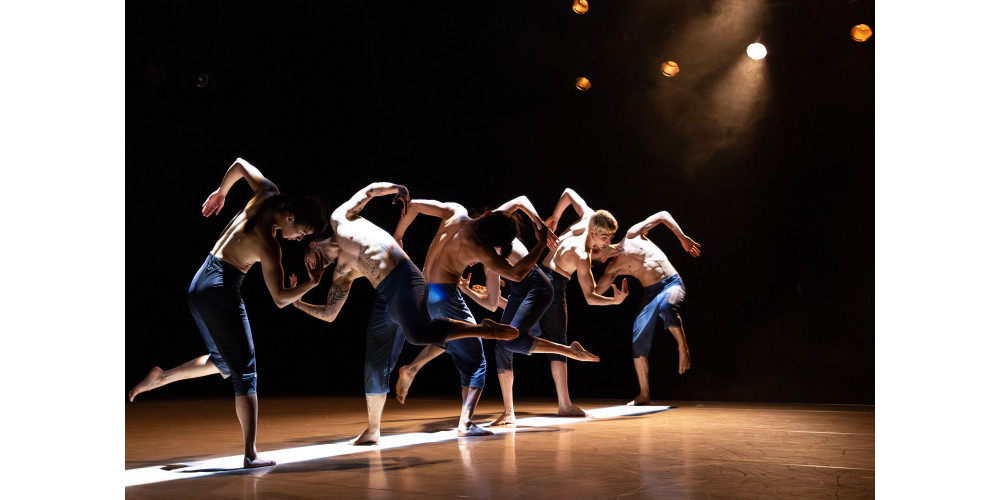 „Skin Deep“ von Helge Letonja, Tanz: Ensemble Of Curious Nature