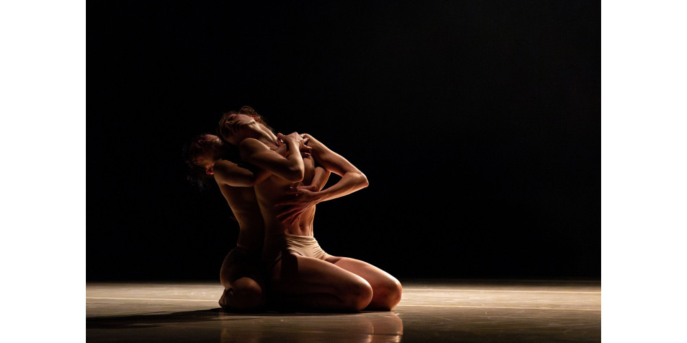 „Skin Deep“ von Helge Letonja, Tanz: Ensemble Of Curious Nature