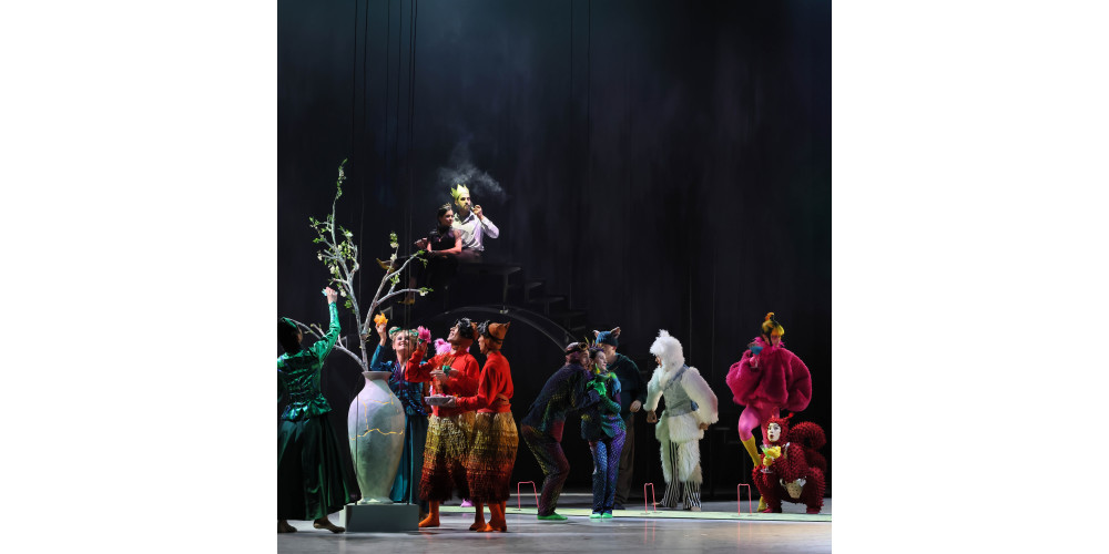 „Aschenbrödel“ von Karl Afred Schreiner, Tanz: Ethan Ribeiro (Prinz)