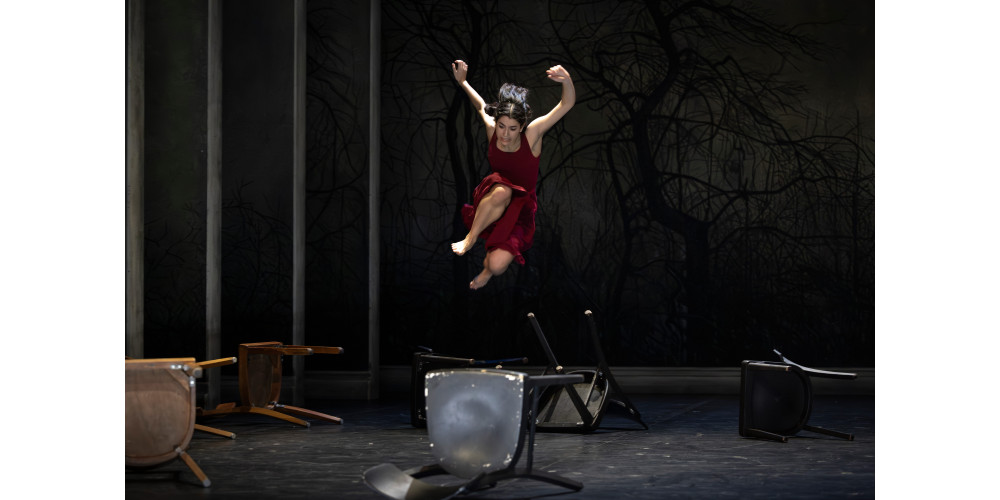 „Die Schwäne“ von Lillian Stillwell, Tanz: Valerie Yeo und Ensemble