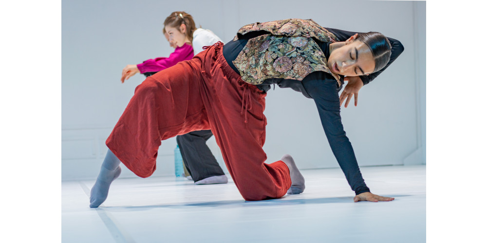 „Pale Blue“ von Nikolaus Adler, Tanz: Ensemble
