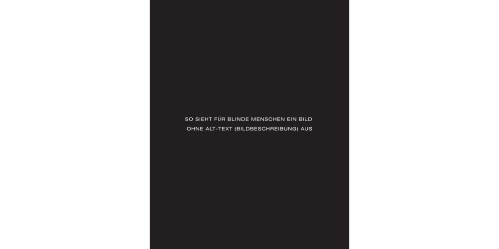 Auf komplett schwarzem Hintergrund steht in weißer Schrift: „So sieht für Blinde Menschen ein Bild ohne Alt-Text (Bildbeschreibung) aus“.